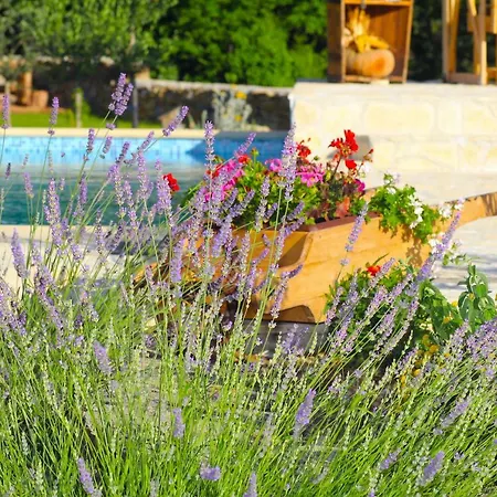 Hébergement de vacances Oak House Zadvarje