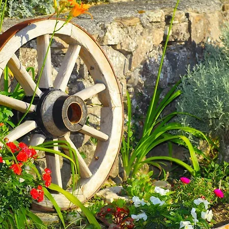 Hébergement de vacances Oak House